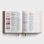 粉红光辉美德圣经:一个美丽的词集