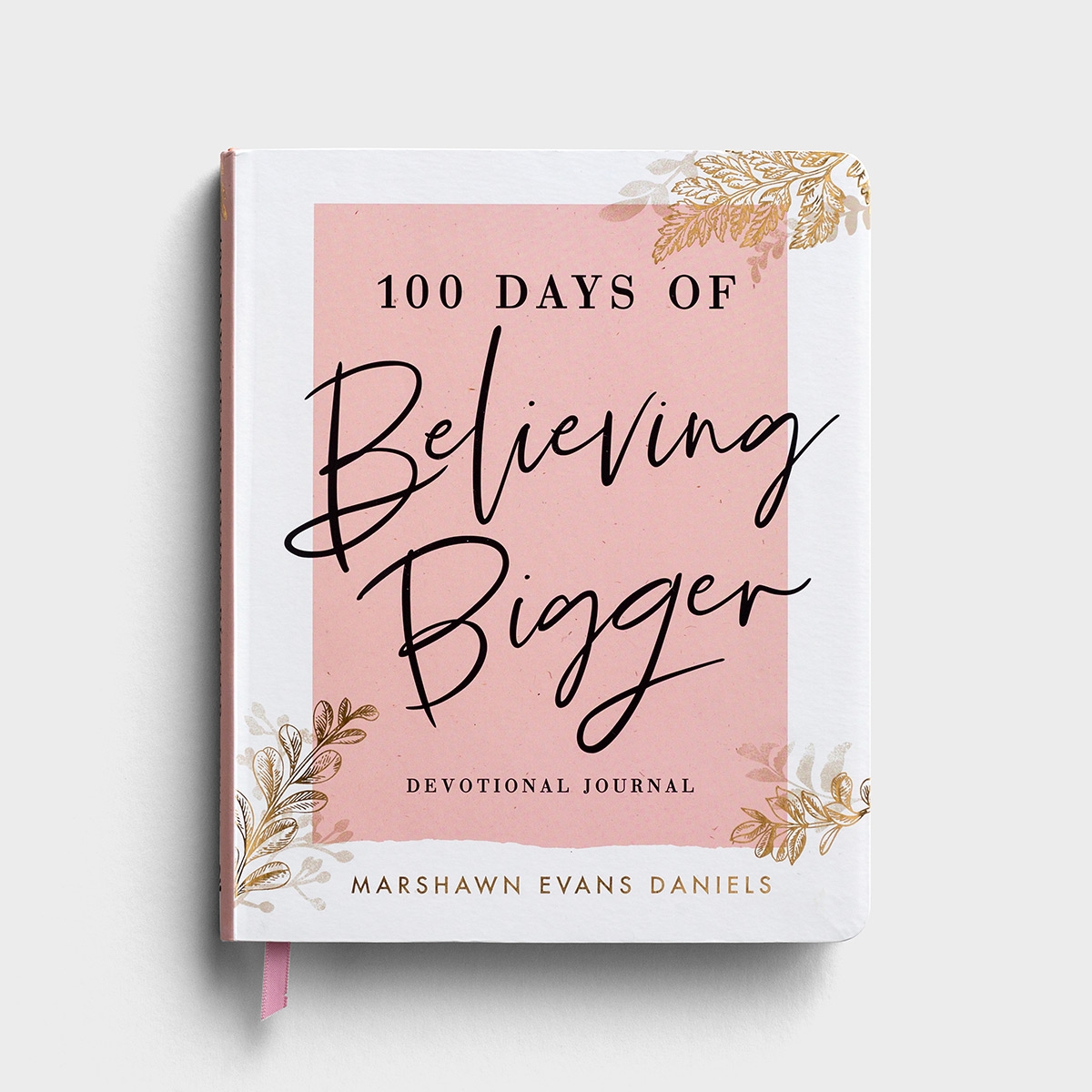 马肖恩·埃文斯·丹尼尔斯-相信更大的100天-灵修日记